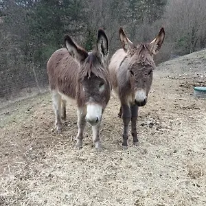 check availability